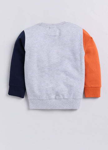 Boys' Pure Cotton Printed Sweatshirt